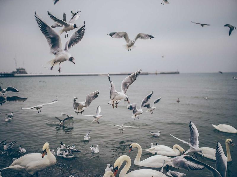 sudoku medium screenshot 4